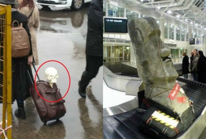 К поездке готовы!