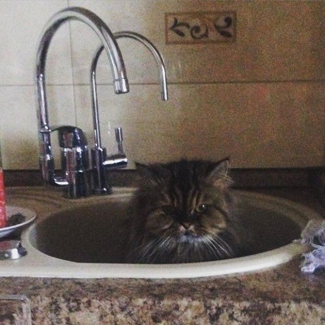 Мастера намеков у которых есть чему поучиться намеки прикол юмор