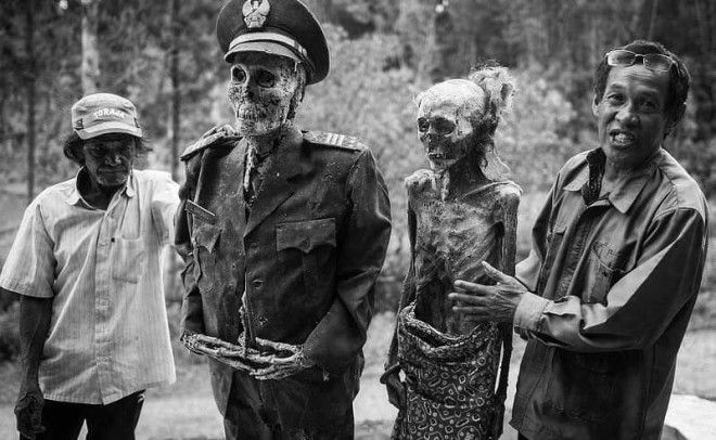 15 Фестиваль Манене Индонезия Фестиваль азия странность