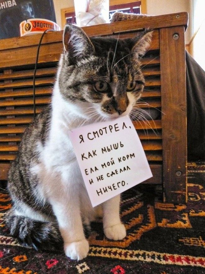 Лень или всётаки здравый смысл