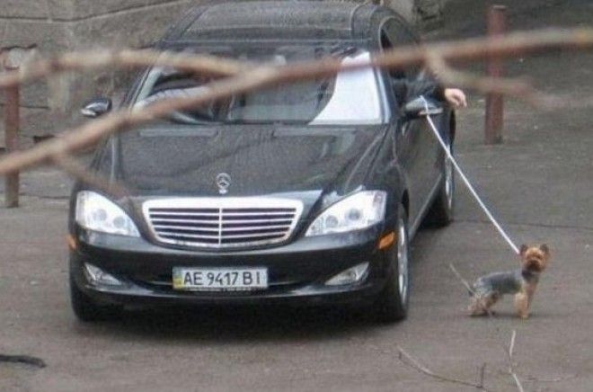 Лень или всётаки здравый смысл