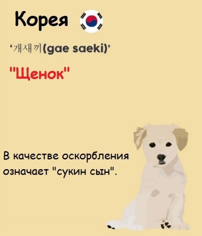 20 причудливых оскорблений со всего мира