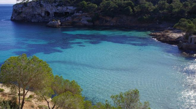 Остров де Са Поррасса В прошлом году пара беспечных подростков умудрилась уничтожить не просто какойто памятник а целый остров Балеарские острова Испании настоящая средиземноморская красота на стероидах и относится к ней нужно бережно Впрочем подросткам да еще и шотландским вряд ли вообще понятно значение слова бережно Калум и Робби пятнадцатилетние оболтусы добрались до острова де Са Порраса на катамаране и решили покурить и это несмотря на аномальную жару и заросли сухой травы вокруг В результате выгорел весь остров