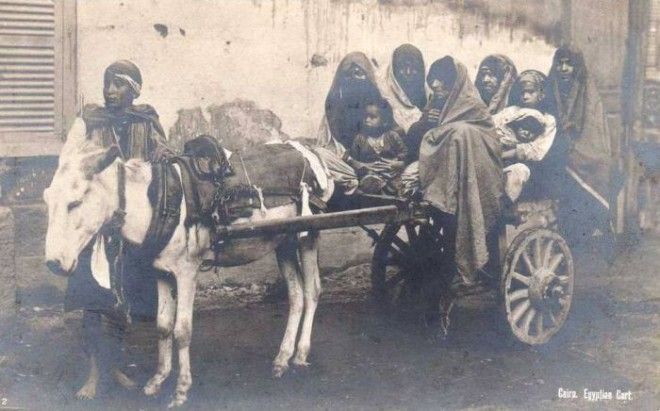 Старый Египет 38 фото