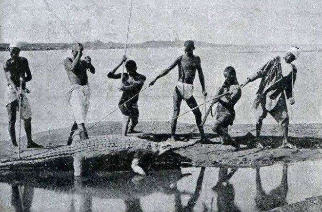 Старый Египет 38 фото