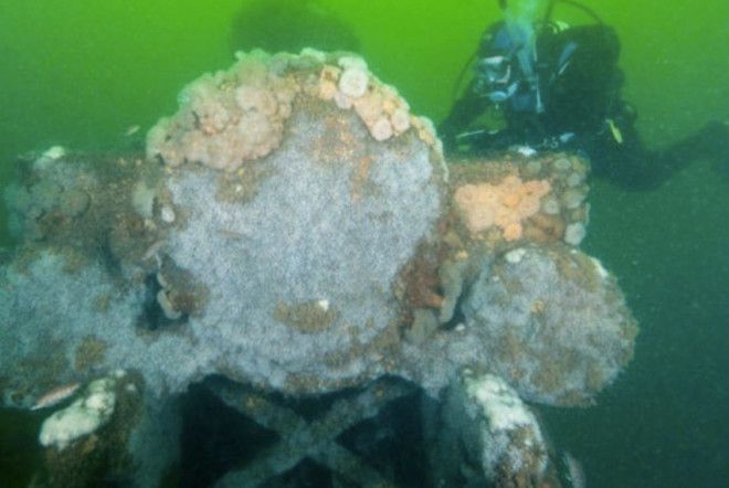 Локомотивы Обломки кораблей, лежащие на дне, явление вполне обычное, но как насчет фрагментов поезда? В 1985 году у побережья Лонг-Бранч, Нью-Джерси, были обнаружены два редких локомотива 1850-х годов. Доподлинно неизвестно, как они оказались на дне. Согласно одному из предположений, они могли упасть с баржи во время шторма, которая переправляла их к месту назначения.