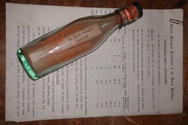 Загадочное послание На почтовой открытке с&nbsp;текстом на&nbsp;английском голландском и&nbsp;немецком языках нашедшего бутылку просили указать где и&nbsp;как она была обнаружена а&nbsp;затем отправить эту открытку в&nbsp;британский Плимут на&nbsp;адрес Морская биологическая ассоциация Великобритании за&nbsp;награду один шиллинг старинная монета достоинством 12 пенсов Мы сделали как было сказано и тут все завертелось сказала Винклер