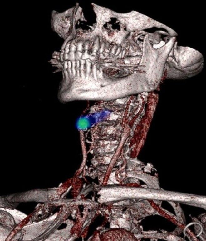 18 удивительных фото из мира науки