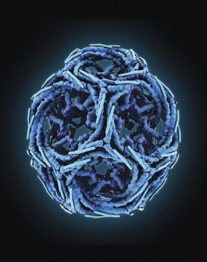 18 удивительных фото из мира науки