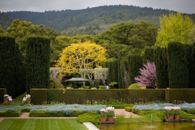 Невероятны сады филоли которые не оставят вас равнодушными