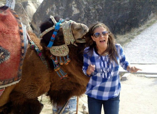 Голодный верблюд