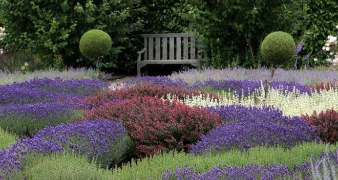 Невероятны сады филоли которые не оставят вас равнодушными