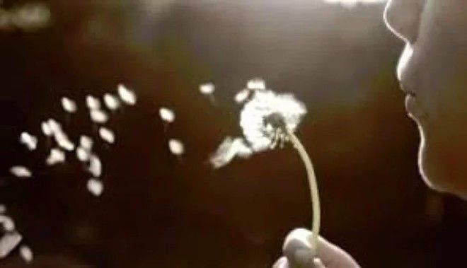 11 традиций шаманизма которые существуют до сих пор