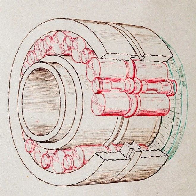Мужчина нашел загадочную коробку в мусорном контейнере и вот что обнаружил