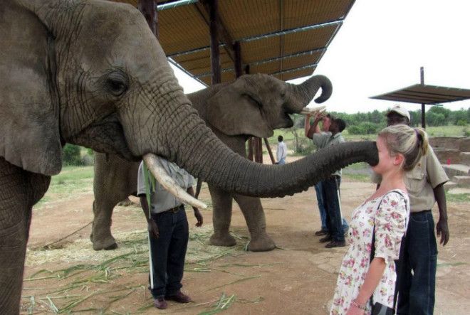 Близкое знакомство