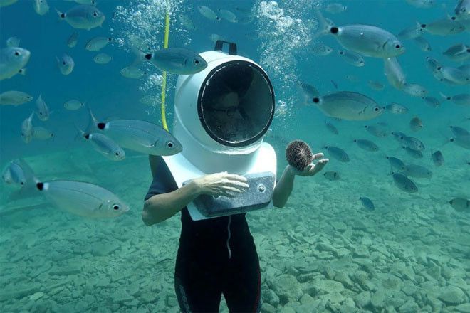 Уникальный подводный парк в Хорватии