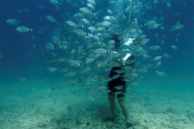 Уникальный подводный парк в Хорватии