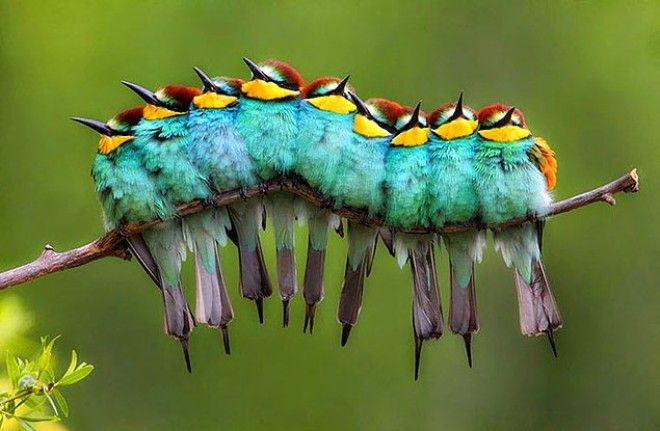 25 фото на которые придется посмотреть дважды чтобы понять что происходит