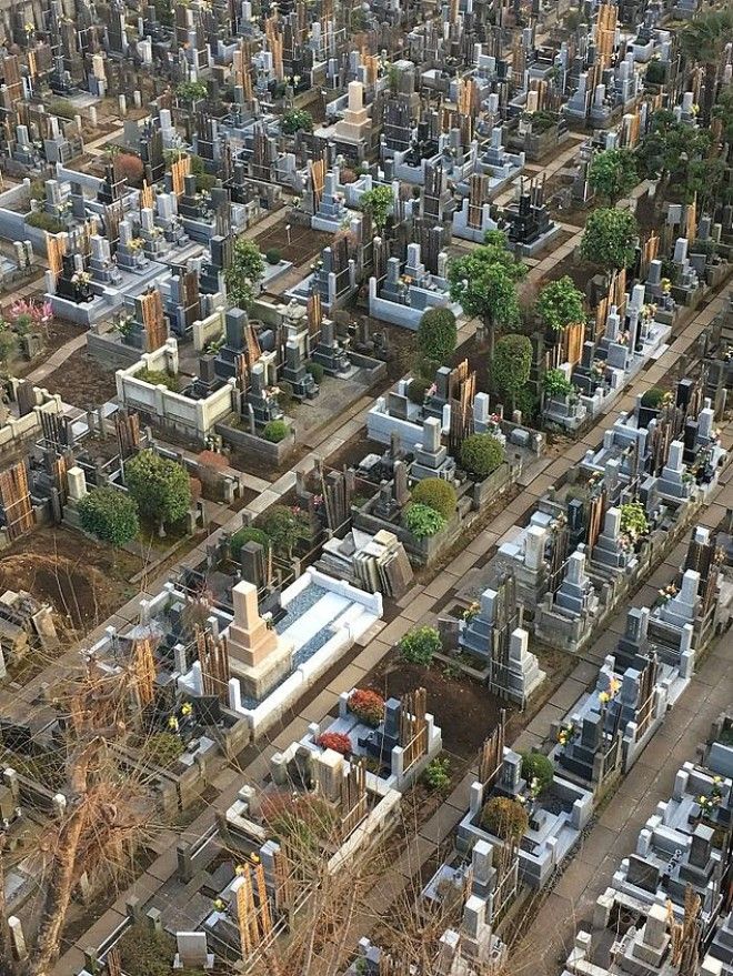 25 фото на которые придется посмотреть дважды чтобы понять что происходит