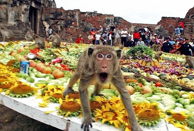 Это уж слишком!