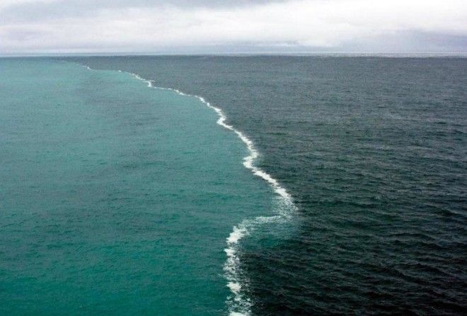 Удивительные творения матушки-природы!