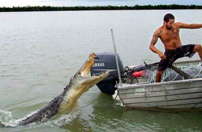 Когда жажда жизни сильнее страха!