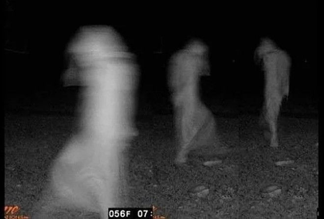 Надеемся что большинство из них постановочные!